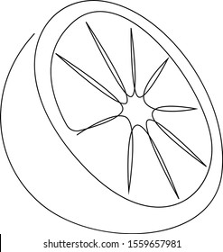 Orange fruit illustration. One continuous line minimal style. Vector