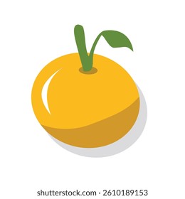Orange fruit illustration. Tangerine. Citrus. Whole fruit. Piece fruit. Sour fruits. Sweet fruits. Citrous.