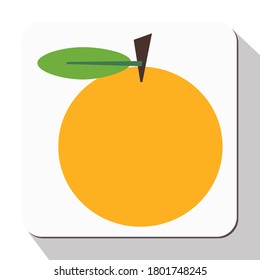 ilustración de fruto anaranjado. icono vector en estilo plano. fruta y tema de verano.