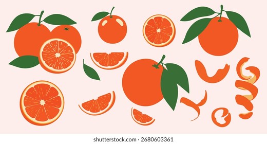 Ilustrações de fruta laranja definidas com elementos inteiros, fatiados e florais