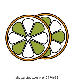 orange fruit isolated icon