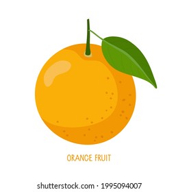 Orange fruit isolated on white. Fresh sour Citrus fruit with inscription vector. Ripe bright whole fruit. Dietetic, vegetarian and healthy food. Flat vector for summer design, lemonade, juice, logo.