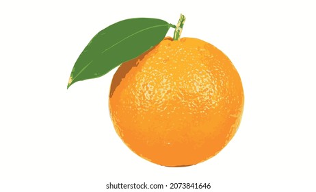 orange fruit isolated on white background