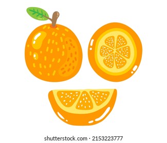 Frutos naranjas aislados en un fondo blanco.  linda ilustración vectorial de fruta. 