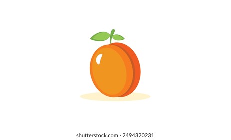 Orange fruit isolated on white background  vector illustration