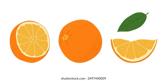 Naranja fruta aislada sobre un fondo blanco. Ilustración vectorial, ícono de frutas. Tres frutas de color naranja en un estilo dibujado a mano.	