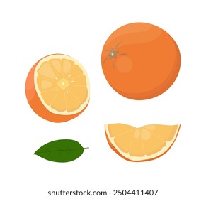 Orange fruit isolated on a white background. Vector illustration, icon of citrus fruit. Whole and chopped oranges in a hand-drawn style.