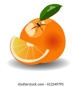 Orange fruit isolated on white. Vector illustration.