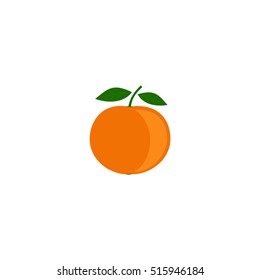 Orange fruit isolated on a white background. Orange  icon