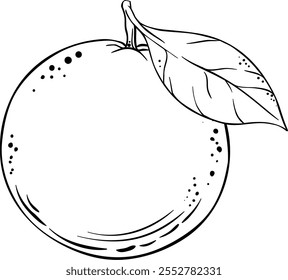 Orange Fruit Isolated Outline Illustration