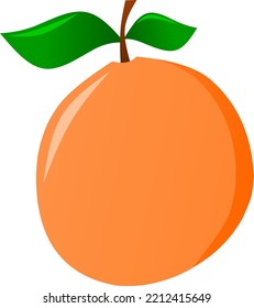 Orangefarbene Früchte einzeln auf Vektorgrafik. Orangefarbene Vektorgrafik für Logo, Symbol, Symbol, Geschäftszeichen, Design oder Dekoration