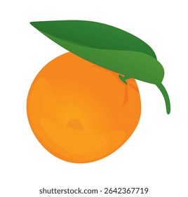 Naranja aislada. Ilustración vectorial	