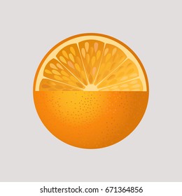 Orange fruit isolated vector illustration