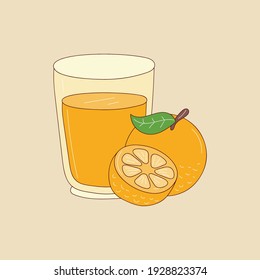 Orange fruit juice colored line icon, doodle fresh juicy vector illustration 