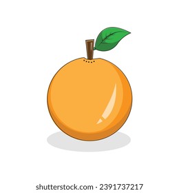 Orange fruit with leaf on a white background. Vector illustration