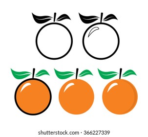Orange fruit with leaf on white background. Vector illustration