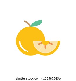 Orange fruit with leaf and slice. Vector illustration - Vector