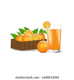 Orangefarbene Früchte mit Blättern einzeln auf Hintergrund. Vektorillustration im realistischen Stil.