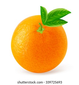 Orange fruit with leaves isolated on white background. Vector illustration for decorative poster, emblem natural product, farmers market. Perfect for packaging design of cosmetics and food.