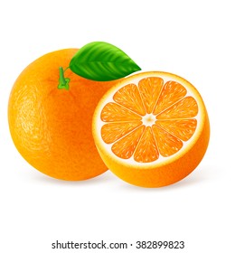 Orange fruit with leaves isolated on white background. Vector illustration for decorative poster, emblem natural product, farmers market. Perfect for packaging design of cosmetics and food.
