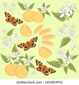 Orange fruit and leaves vector pattern with butterflies