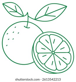 Orange Fruit Line Art Vector for Kids Hand Drawing and Learning – Simple Tropical Fruit Outline Illustration