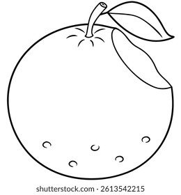 Orange Fruit Line Art Vector for Kids Hand Drawing and Learning – Simple Tropical Fruit Outline Illustration