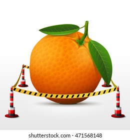 Orange fruit located in restricted area. Orange with leaves surrounded barrier tape. Vector illustration