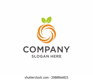 Orange fruit logo design vector
