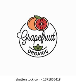 Orange fruit logo. Round linear logo of orange on white background