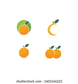 Orange fruit logo Vector illustration template