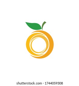 Orange fruit logo Vector illustration template