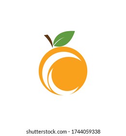 Orange fruit logo Vector illustration template