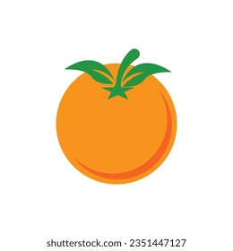 Orange fruit logo Vector illustration template design