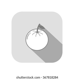 orange fruit with long shadow