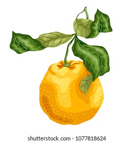 Orange fruit made in graphic design on the branch with leaves. The image is made in graphic realism
