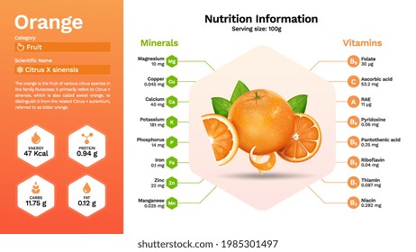 Orange fruit and its nutritional properties -Vector illustration