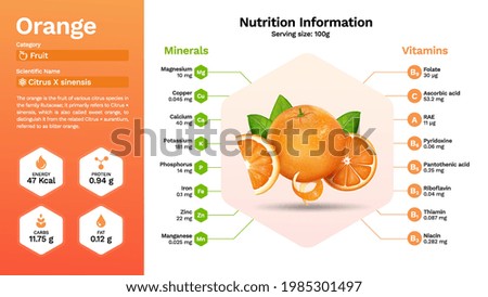 Orange fruit and its nutritional properties -Vector illustration