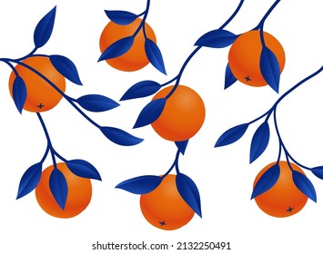 Orange fruit on the branch with blue leaves vector illustration. 3d pattern illustration. Isolated citrus fruits design. 