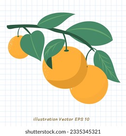 fruta naranja en la rama del árbol anaranjado ,Diseño plano moderno ,Ilustración vectorial EPS 10