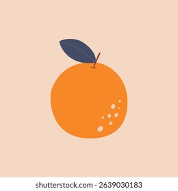 Orange fruit on isolated background. Vector illustration cartoon flat style
