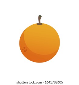 Orange fruit on white background. Vector illustration in trendy flat style. EPS 10.