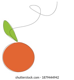Orange fruit on white background, vector illustration