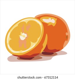 orange fruit on white background. Vector illustration