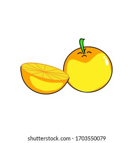 Orange fruit. Oranges that are segmented on a white background. Yellow orange fruit vector. orange fruit is a fruit that is sour and has high vitamin C. Helps to feel fresh. lemon.