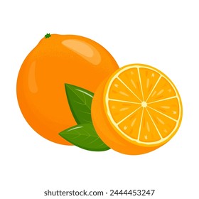 Orange fruit. Oranges that are segmented on a white background, juicy seasonal fruits, citrus. Vector illustration.