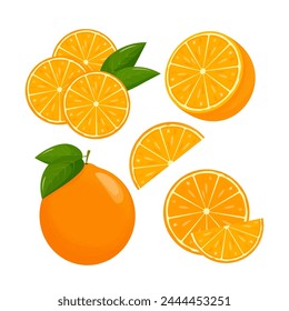 Orange fruit. Oranges that are segmented on a white background, juicy seasonal fruits, citrus. Vector illustration.