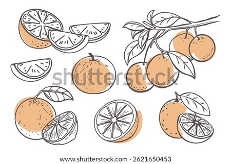 Orange fruit outline set. Collection of orange sketches with yellow spots. Hand drawn illustration. Doodle sketch icons.