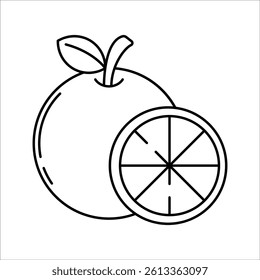 Orange Fruit Outline style whole orange with slice perfect for vitamin C concept in health food and sport nutrition content