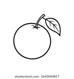 Orange fruit outline vector illustration on white background